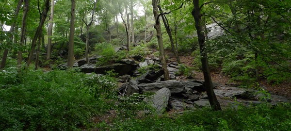 The Indian Caves in Inwood Park