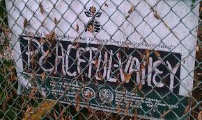 Peaceful Valley Community Garden