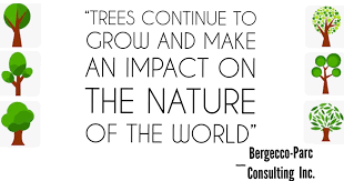 Bergecco Parc Consulting Inc. saying