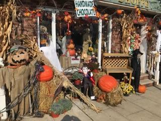 Heights Floral Shop Halloween